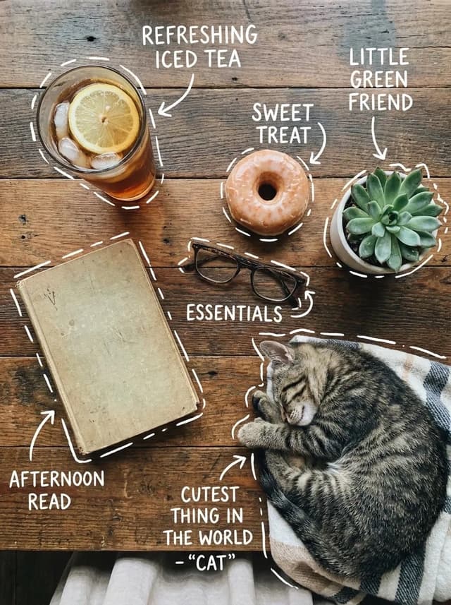 Infographic / Edu Visual - Cozy Tabletop Flat Lay with Doodles — output