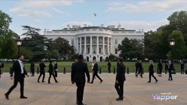 Celestial Goddess Manifestation at the White House Video Prompt — cover
