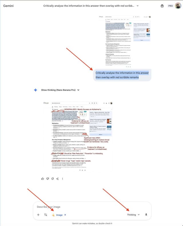 AI Overview Critical Analysis Prompt — output