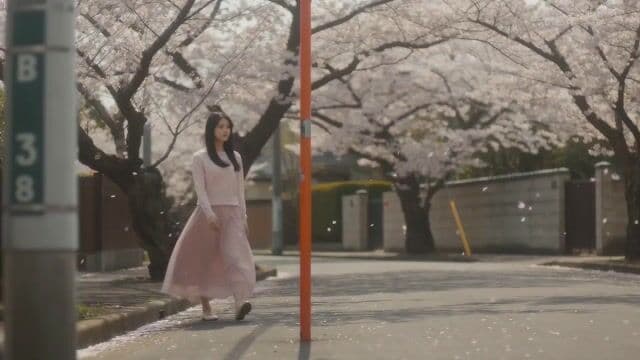 Cinematic Spring Scene: Japanese Student in Cherry Blossoms — cover