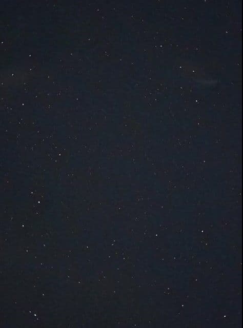 Night Sky and Pine Tree Animation — cover