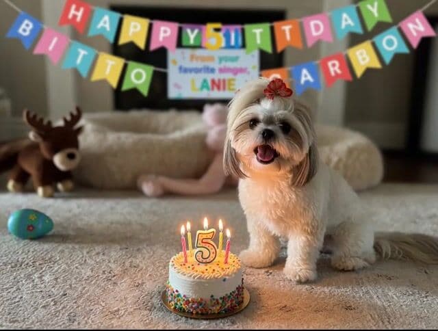 Singing Dog Birthday Video — cover