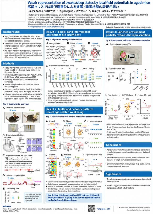 Infographic / Edu Visual - Research Paper Academic Poster — output
