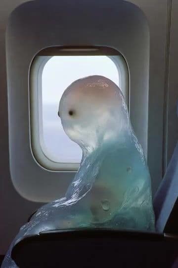 Blob Sucked Out Airplane — cover