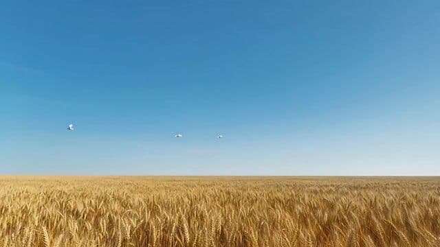 Surrealist Cinematic Sci-Fi Reveal — cover