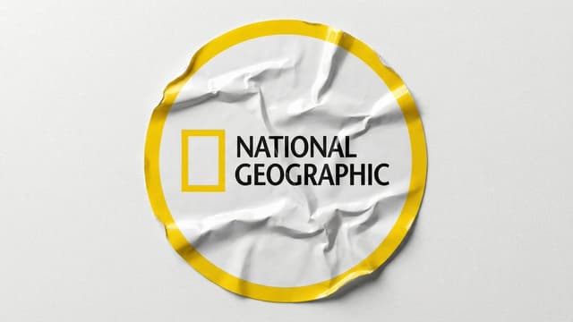 Product Marketing - Branded Crumpled Stickers (Placeholder) — output