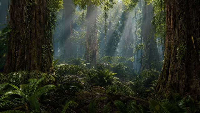 Infographic / Edu Visual - Prehistoric Redwood Jungle — output