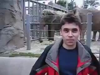 Man and Elephant at Zoo (Old Camera Style) — cover