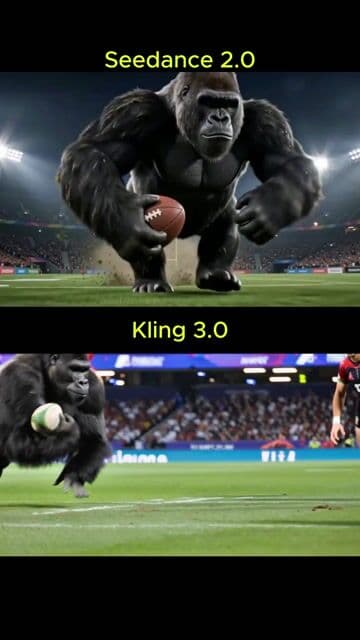 Rugby Match: Humans vs. Gorillas — cover