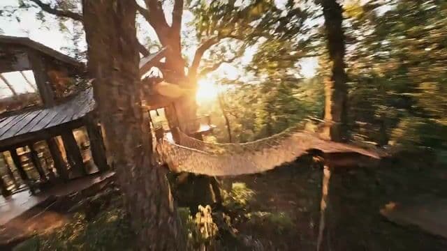 FPV Cinematic Flight Through a Hyper-Realistic Treehouse — cover