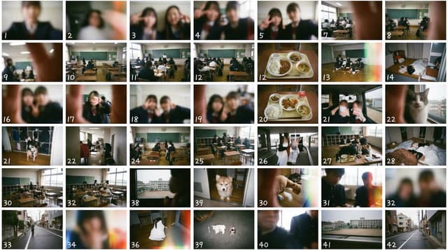 Film Negative and Thumbnail Sheet Generation Prompt — output
