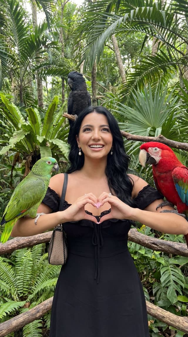 Social Media Post - Candid Tropical Aviary Portrait with Parrots and Identity Lock — output