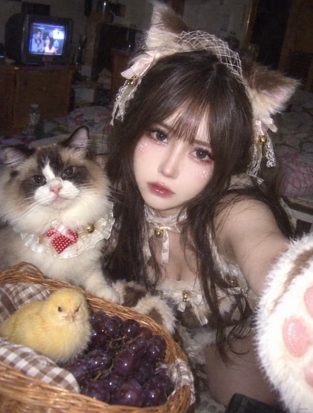 Profile / Avatar - Nokia Phone Selfie with Ragdoll Cat Cosplay — output