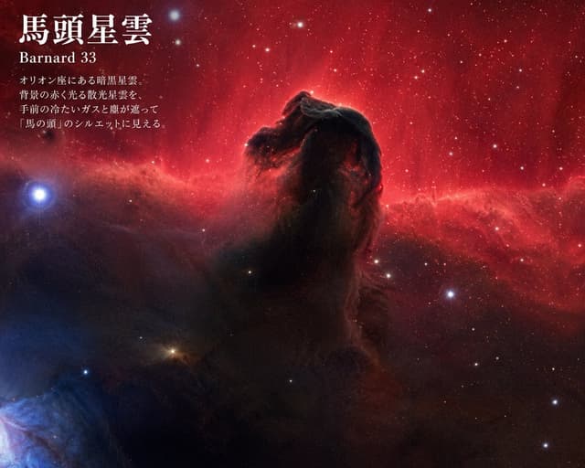 Infographic / Edu Visual - Horsehead Nebula Poster — output