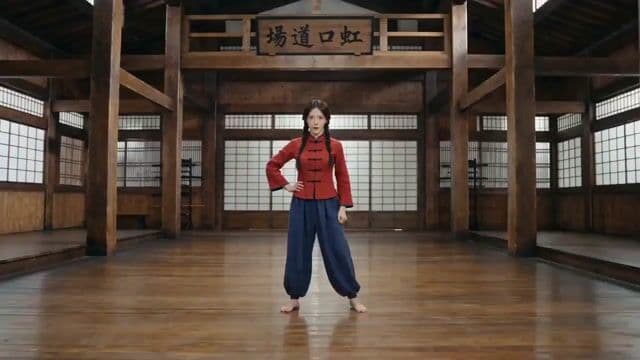 Martial Arts Fight Scene in a Japanese Dojo — cover
