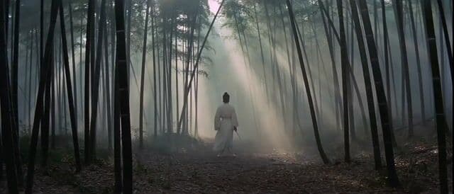 Wuxia Film Style Video Prompt for Seedance 2.0 — cover
