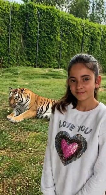 Ultra-realistic Girl in Nature Sunset — cover