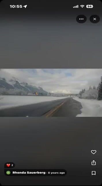 Cartoon moose hit by semi truck prompt — cover