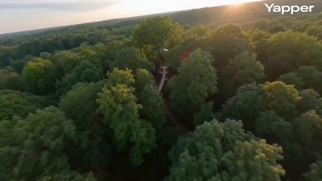 FPV cinematic flight through a treehouse — cover