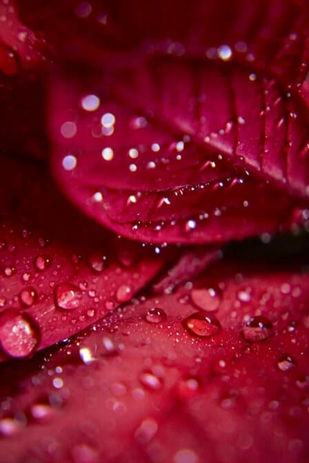 Grok Imagine Video Prompt: Slow Zoom Out with Rain Sound