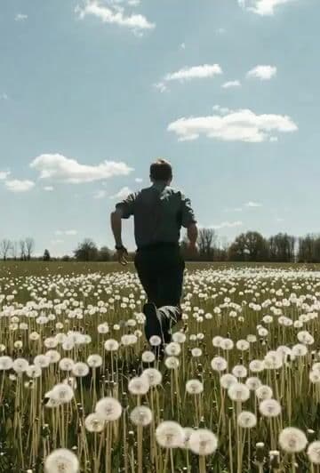 Video generation prompt focusing on camera movement and depth of field — cover
