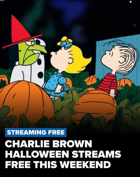 Pumpkin Patch Halloween Night