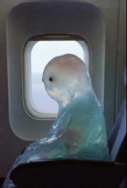 Gelatinous Blob on Airplane — cover