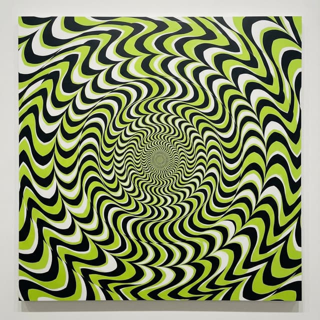 Infographic / Edu Visual - Optical Illusion of Illusory Motion — output