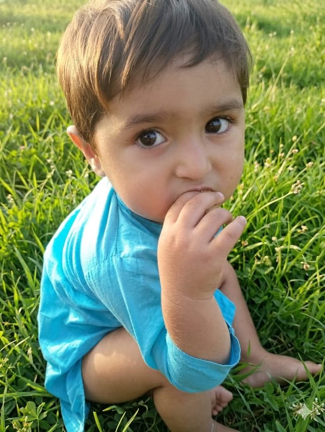 Profile / Avatar - Golden Hour Toddler Meadow Portrait — output