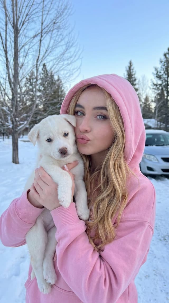 Profile / Avatar - Playful Winter Puppy Portrait — output